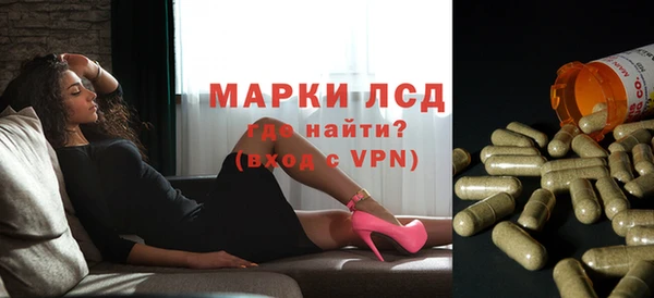 стаф Алексин