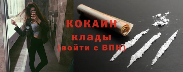 стаф Алексин