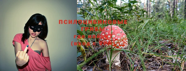 стаф Алексин