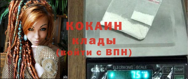 стаф Алексин