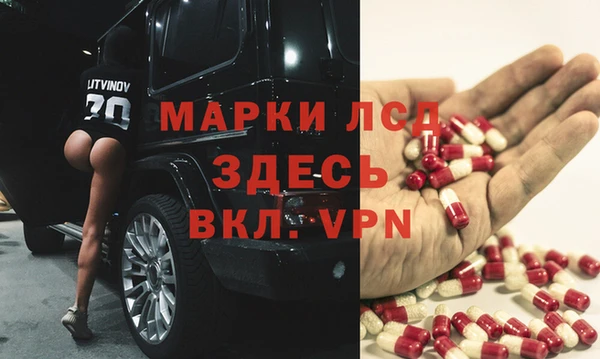 стаф Алексин