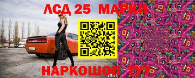 мет Кингисепп