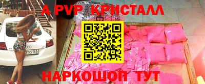 мет Кингисепп