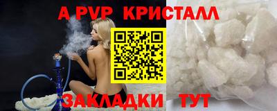мет Кингисепп