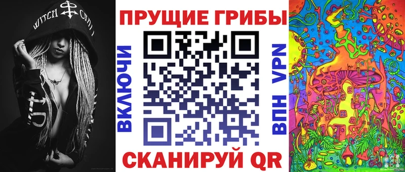 даркнет сайт  hydra ССЫЛКА  Галлюциногенные грибы Psilocybe  Котельники 